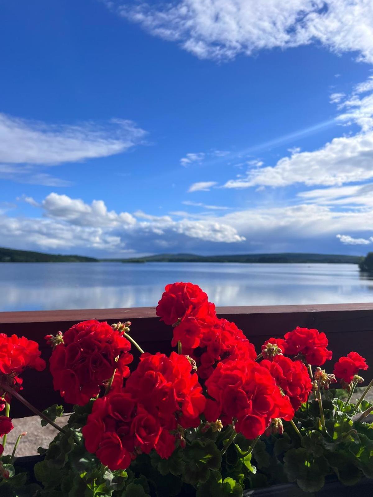 Jauri Resort Kemijärvi Exterior foto
